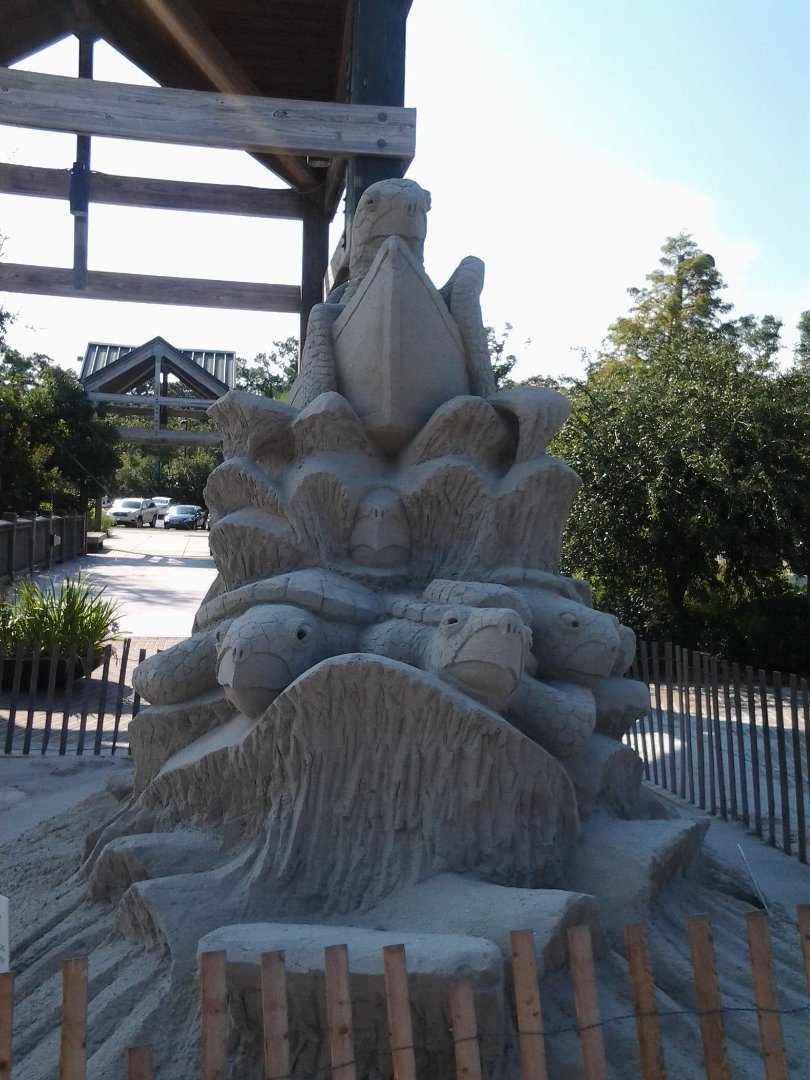 Phyllis Hill's album, aquarium at the beach