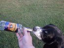 Ellen Michaelis' album, Timeline Photos