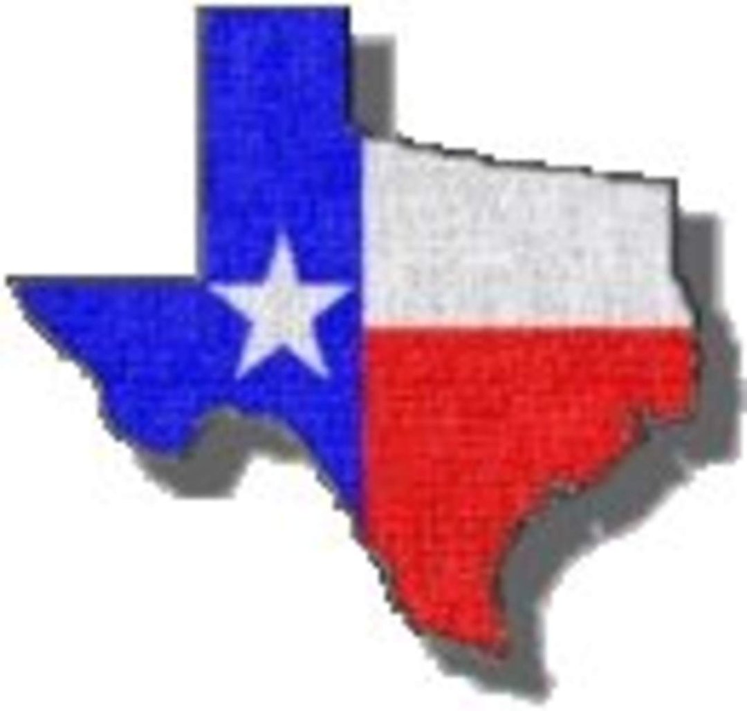 David Bedrich's album, Texas