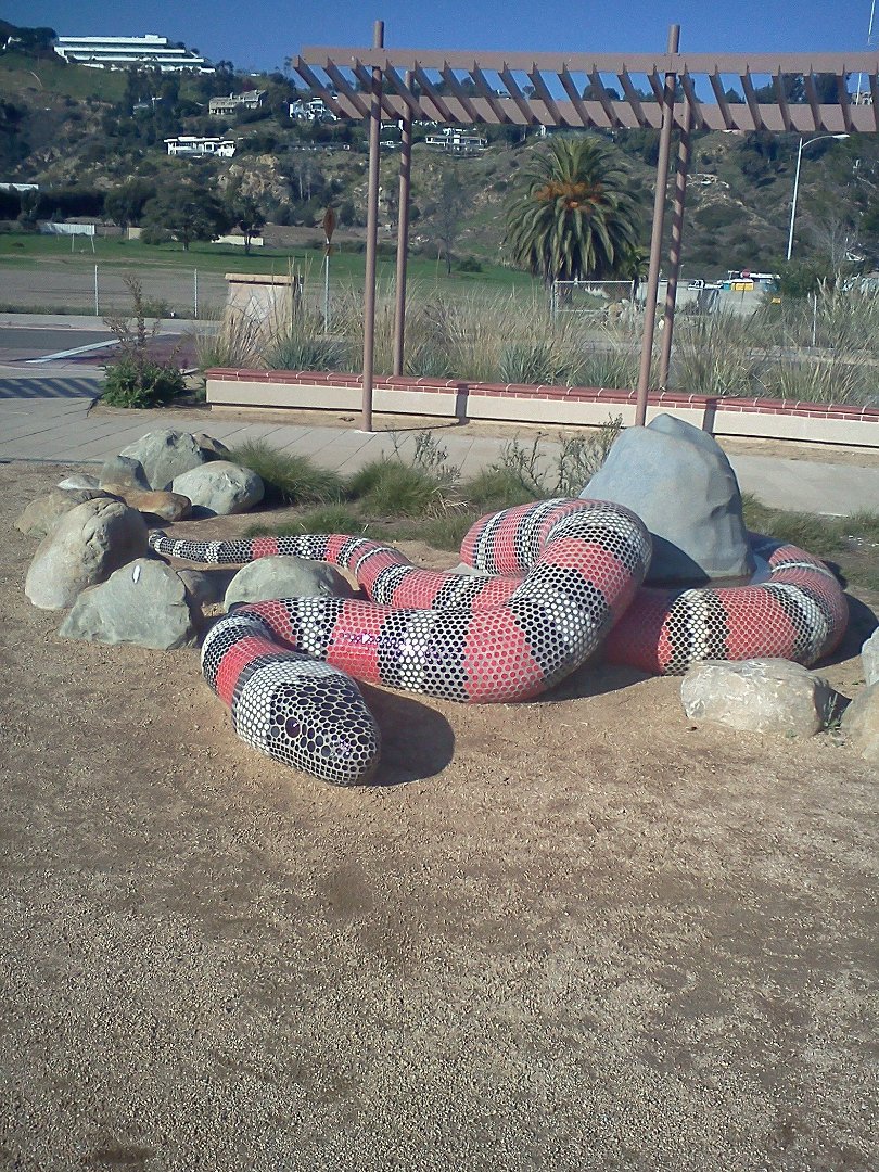 Terry Duff's album, Mobile Uploads