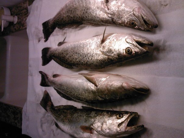 Ray Brackin's album, Fishin 2010