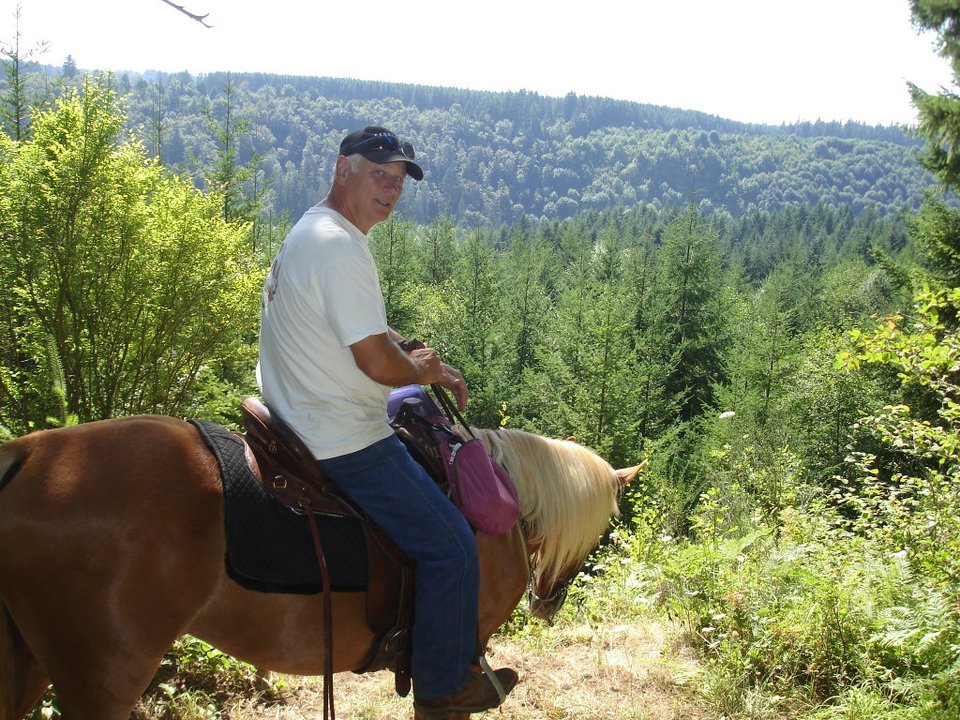 Carla Swearingen's album, August 2011 Horses