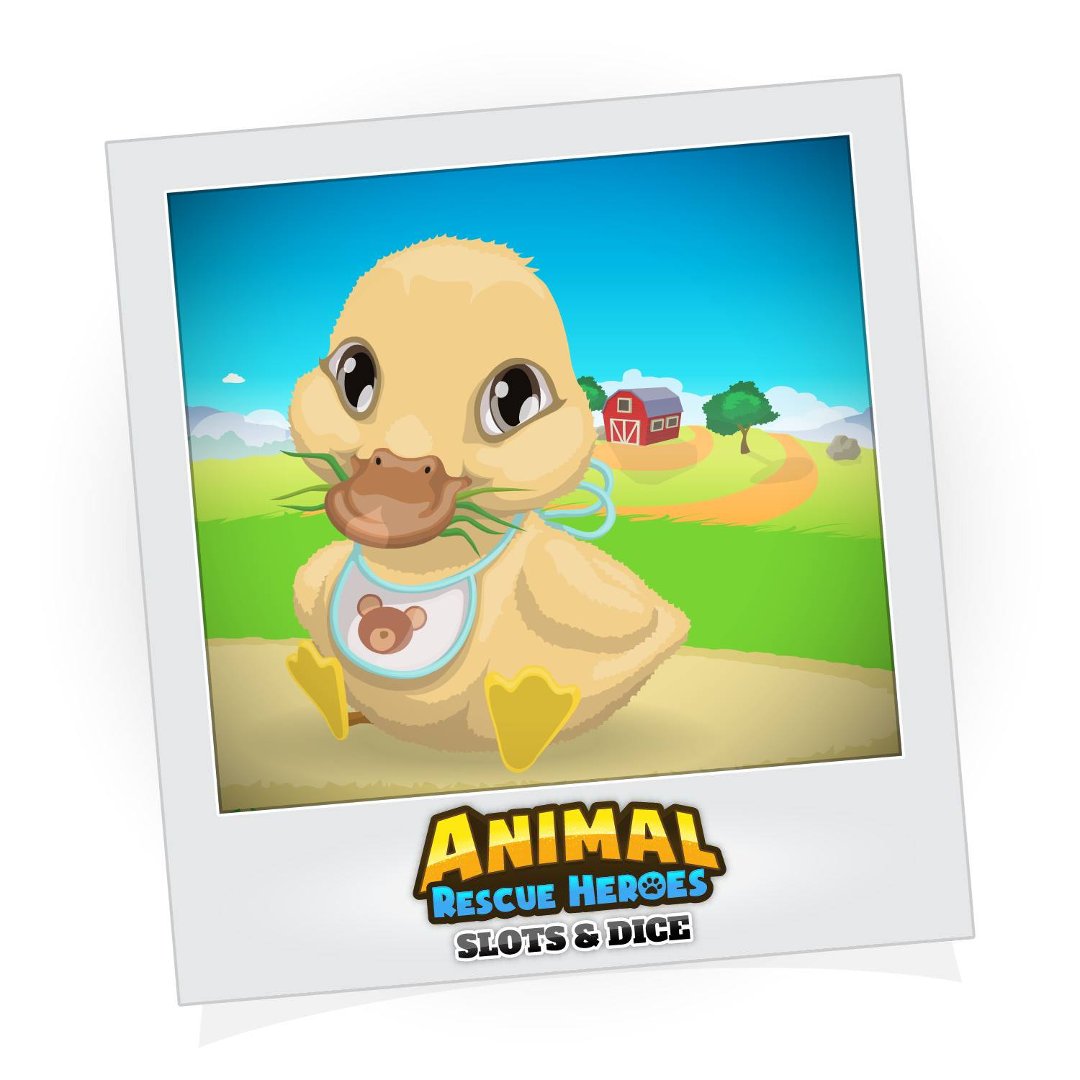 Shawn Fleeman's album, Animal Rescue Heroes: Slots&Dice Photos