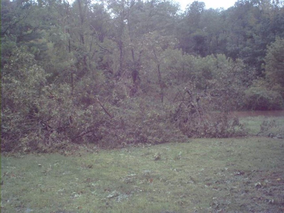 Ruby Dieffenbach's album, September 9, 2011