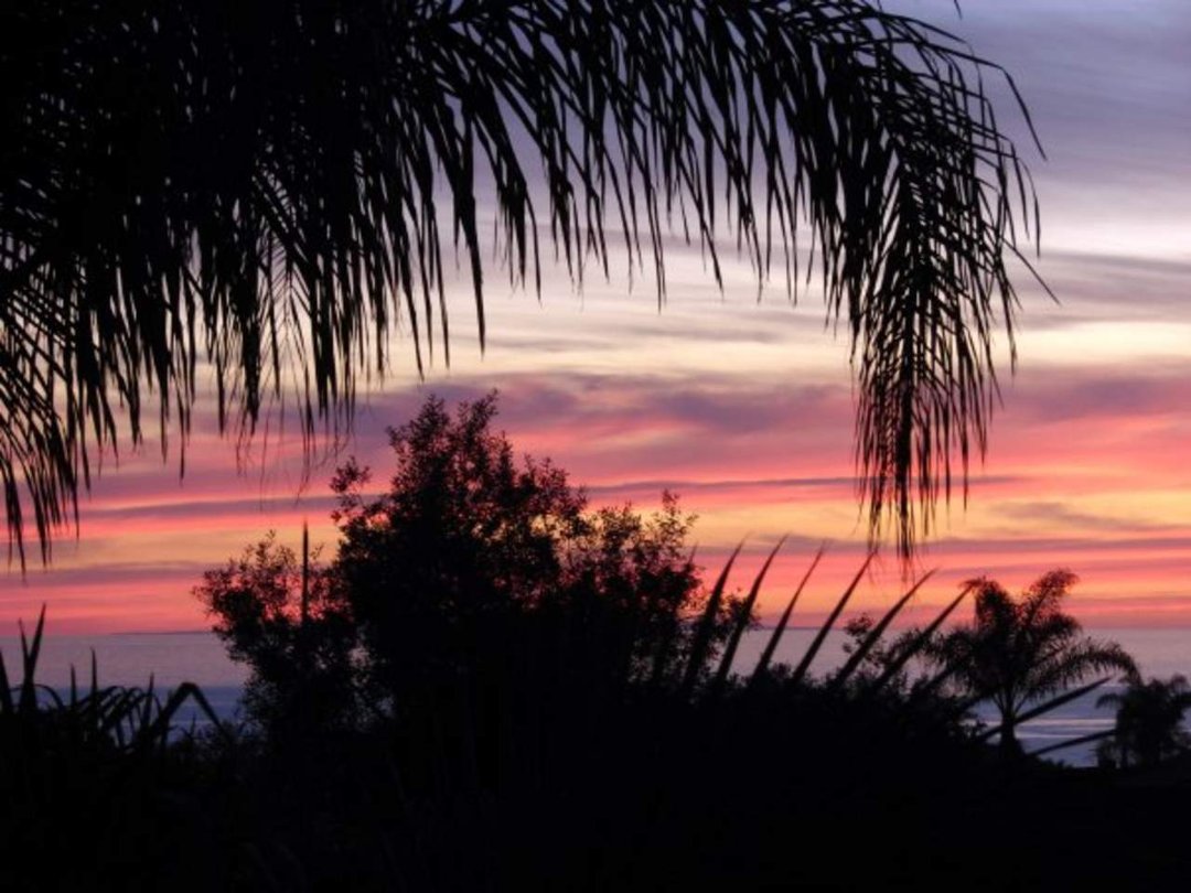 Mark Williams' album, Sunset on January 28th