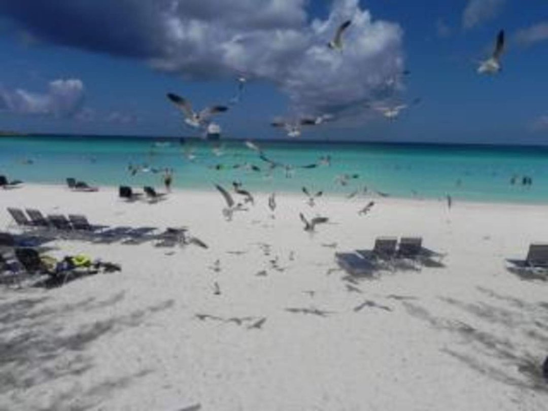 Lori Herring's album, Bahamas Cruise 2011