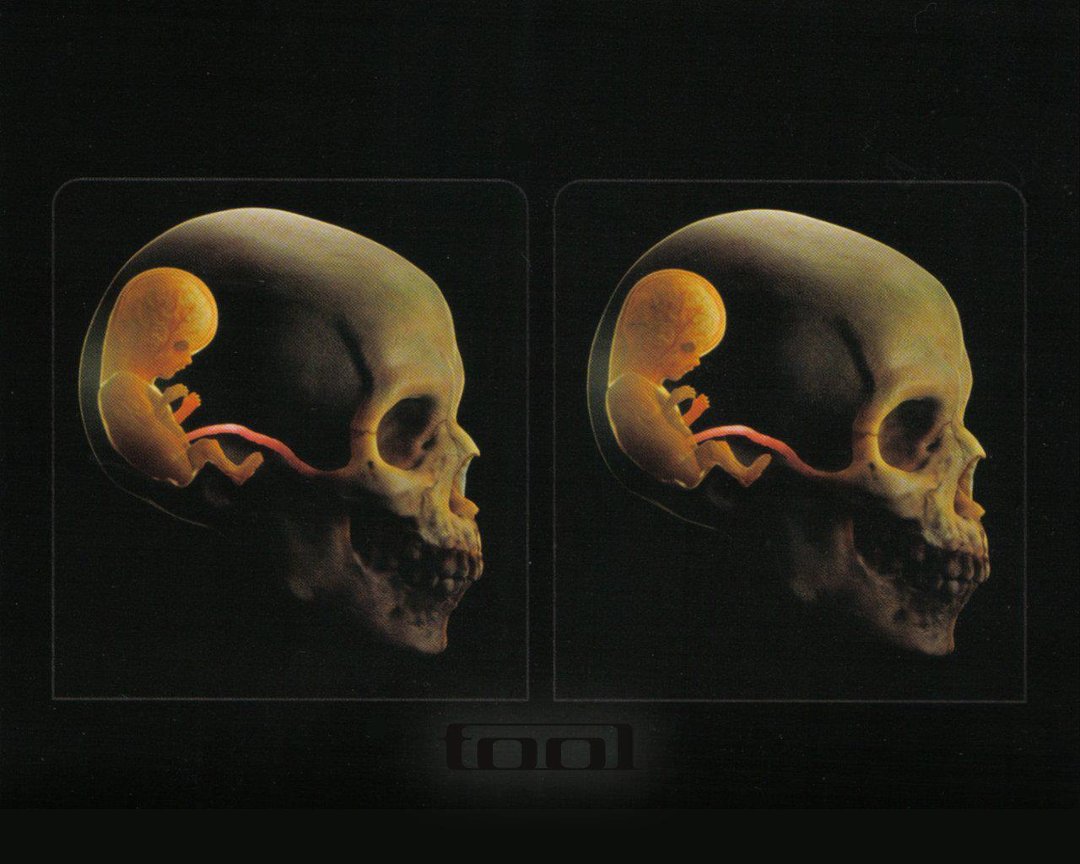 Ted Bundy's album, Profile Pictures