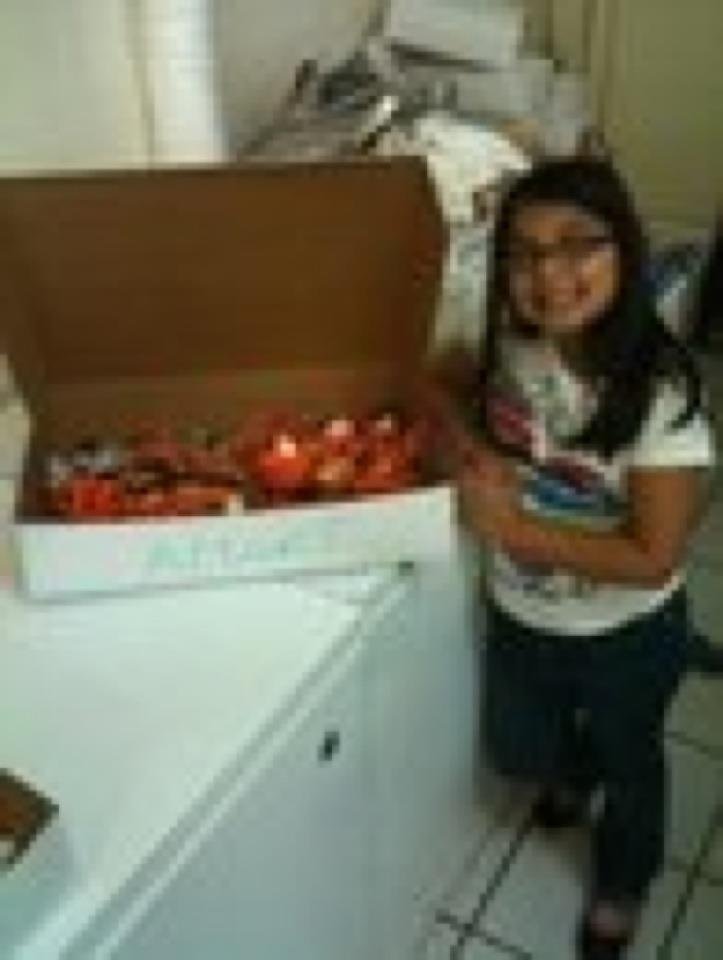 Luz Aranda's album, Mobile Uploads