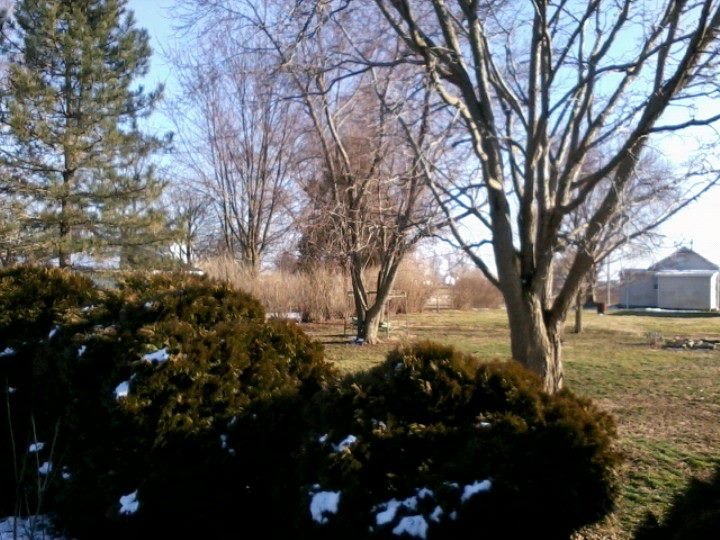 Lorie Good's album, Mobile Uploads