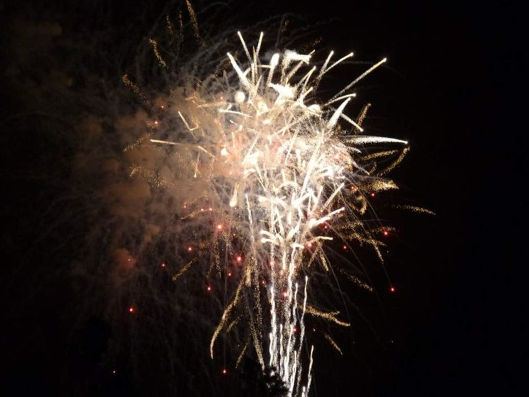 Lynn Epton-siler's album, July 3, 2011 Fireworks, Great America, Santa Clara, CA