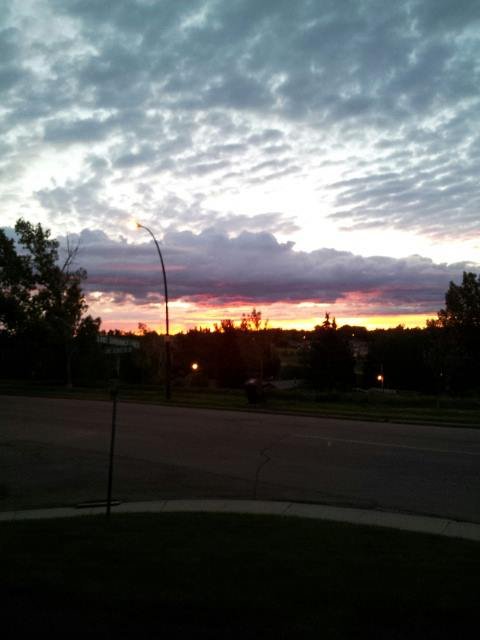 Sheldon Thunstrom's album, Mobile Uploads