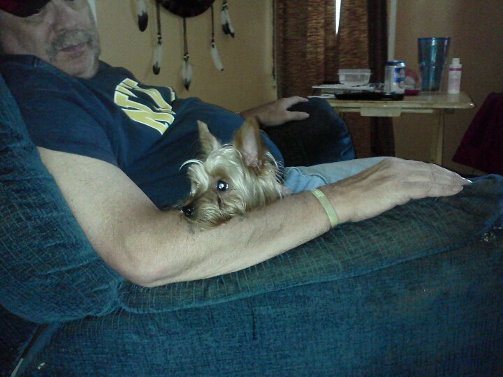 Ron Frank's album, LG Phone Photos