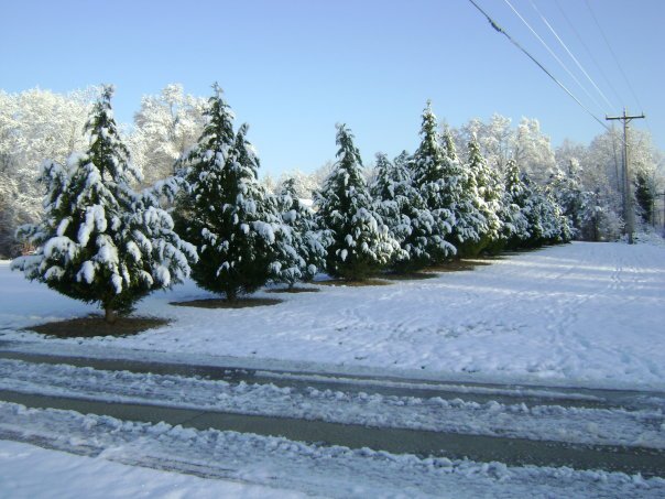 Lisa Couey's album, 2010 SNOW JAM!!