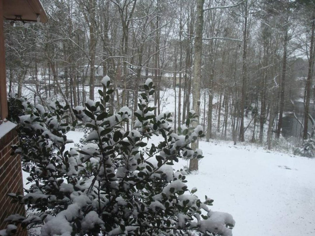 Marilynn Stith's album, Timeline Photos