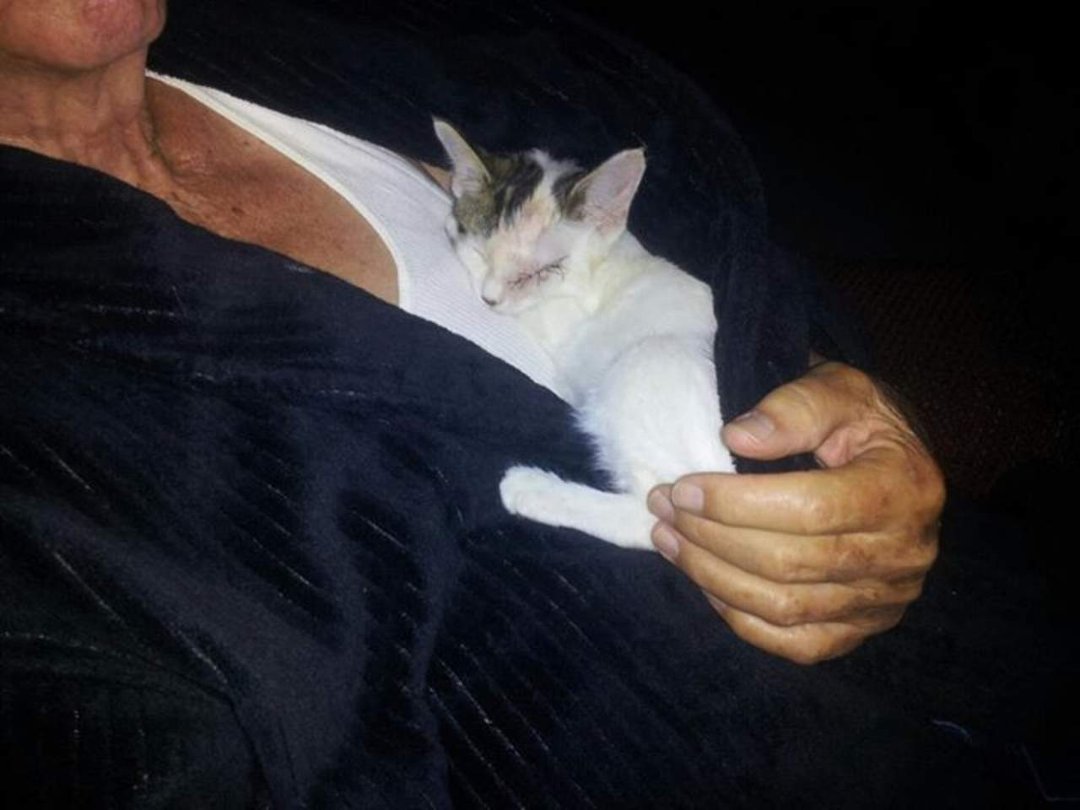 Frances Davis' album, Mobile Uploads