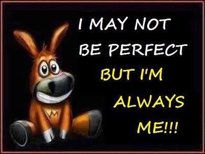 Vincent P's album, Timeline Photos