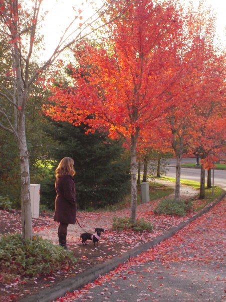 Ann Slack's album, Oregon Visit November '09