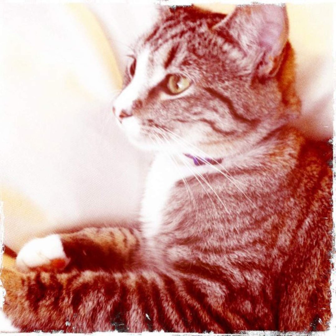 Brooke Stillwell's album, Jun 13, 2011