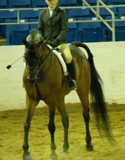 Janice Andersen's album, Arabian Horse Show 2013