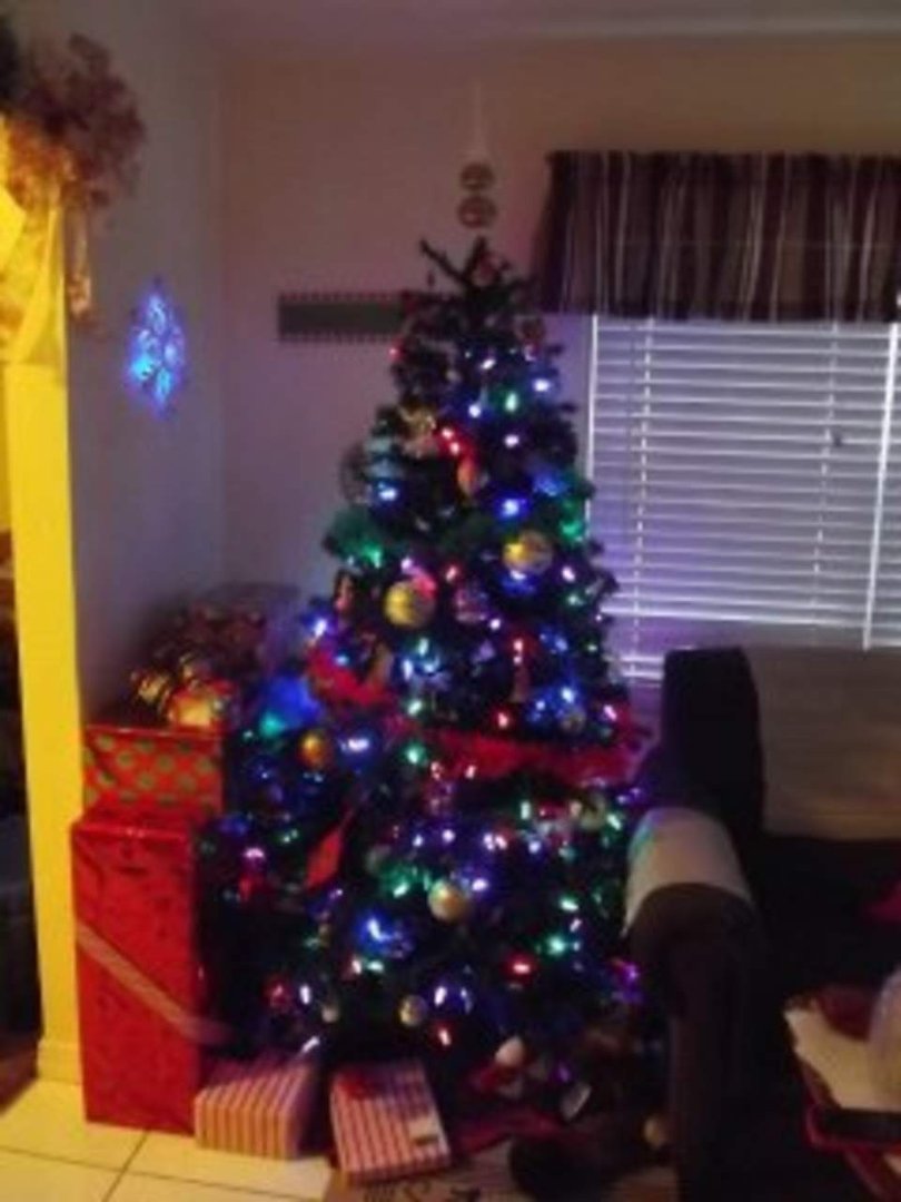 Peter Hibbard's album, Christmas Decorations 2011