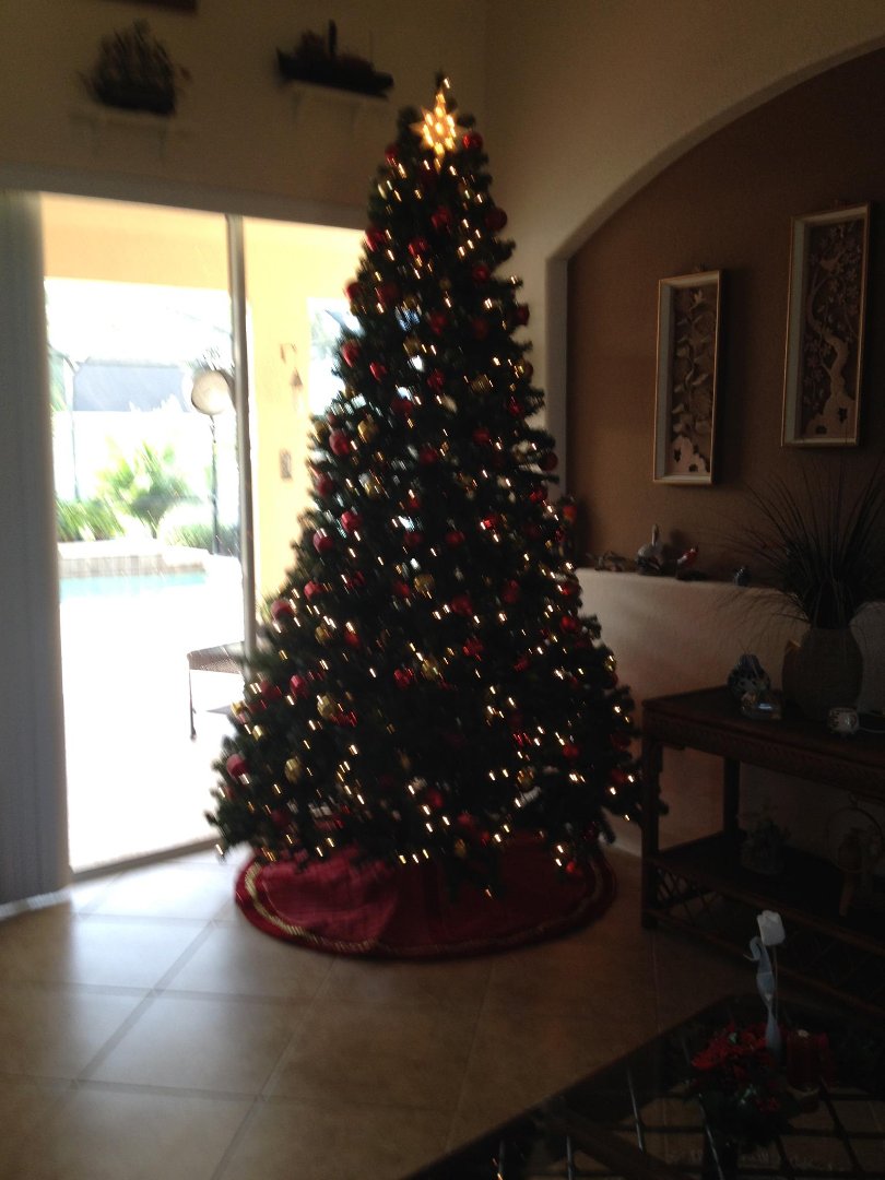 Arlene Rutski's album, Timeline Photos