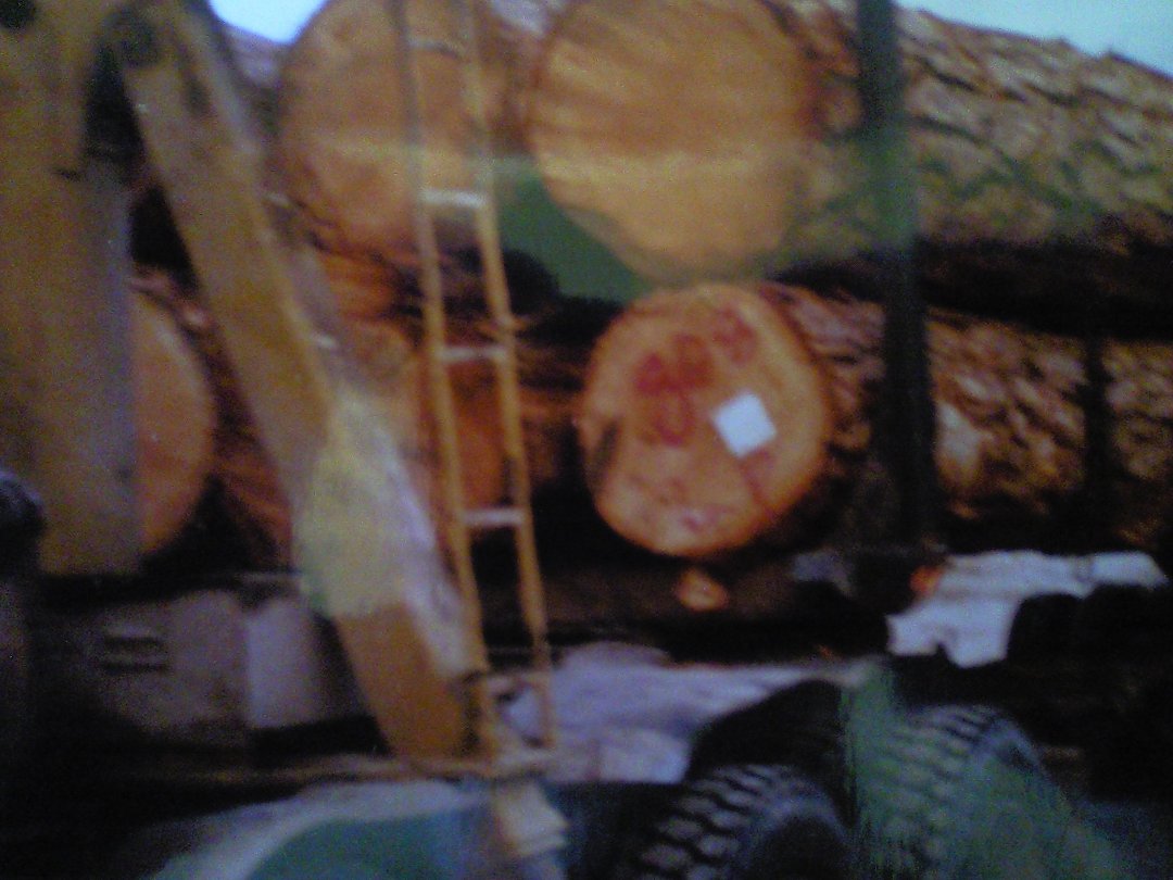 David Reed's album, truck pictures