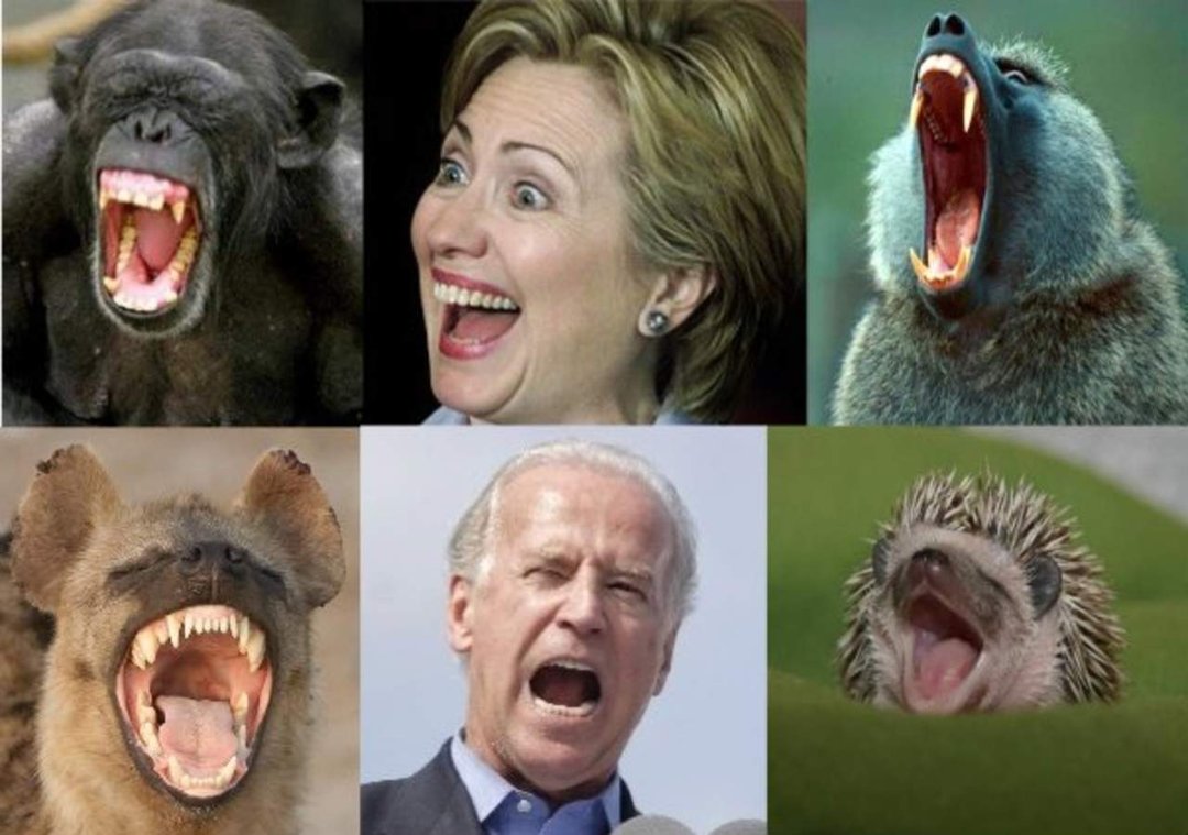 Bob Cameron's album, Timeline Photos