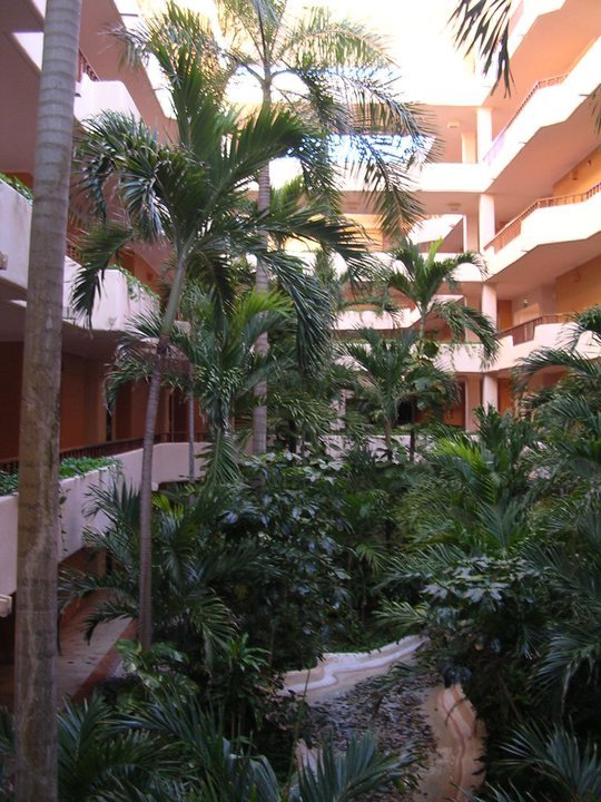 Nancy Hall's album, Mark's Cancun pictures, February, 2011