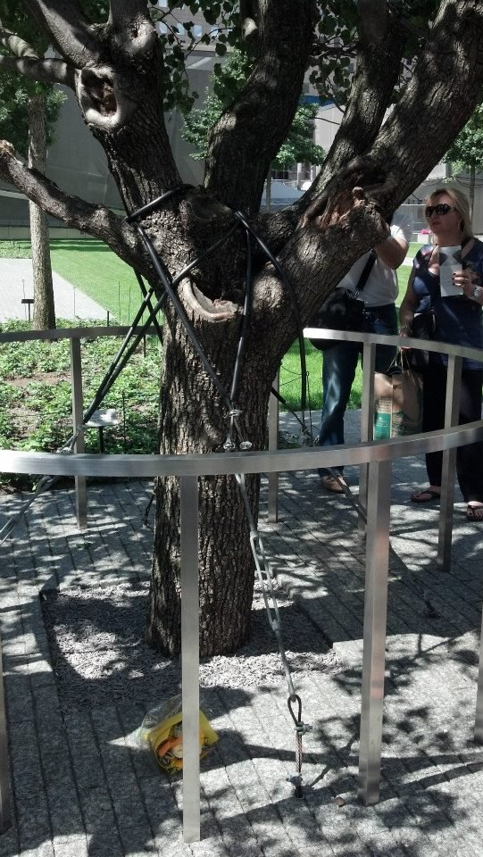 Kevin Baughman's album, 9/11 Memorial