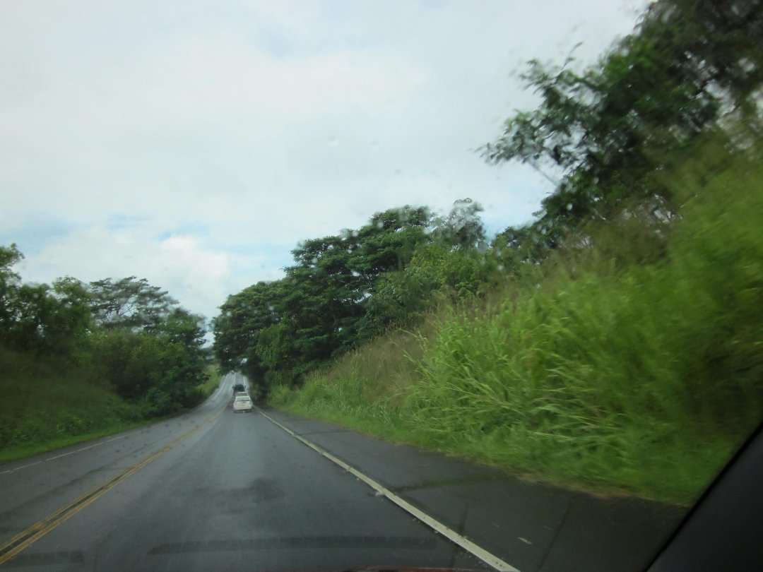 Deborah Colann's album, Kauai 2011