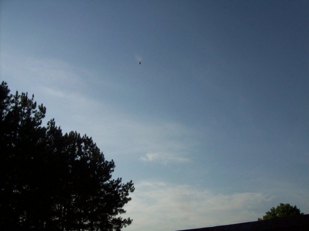 robert wilson's album, June 6, 2011