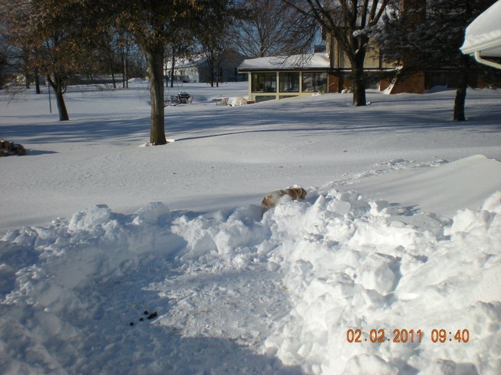 Stephen Hager's album, February 2, 2011
