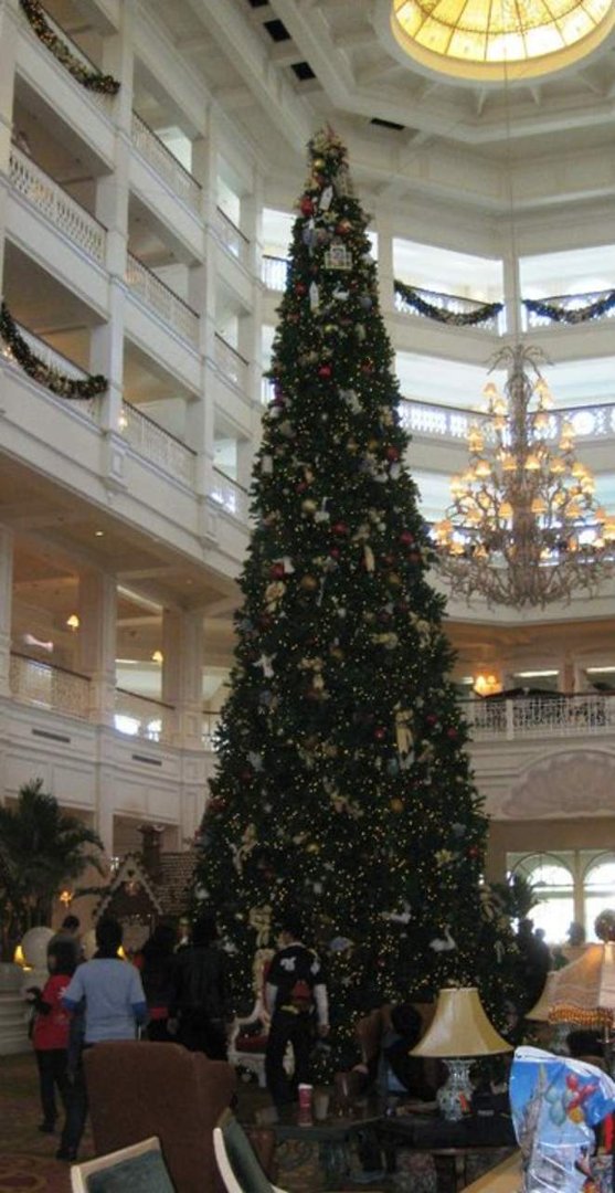 Cindi Seelig's album, Christmas at Disney World, 2010