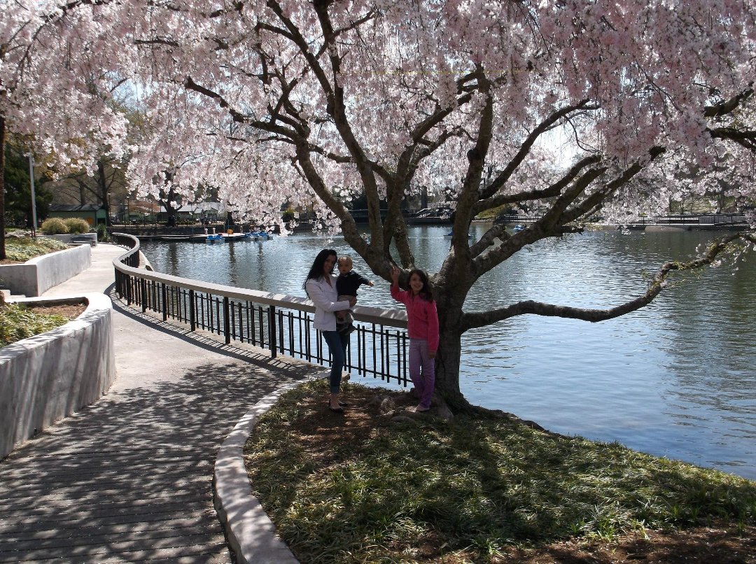 Zoe Underwood's album, Pullen Park
