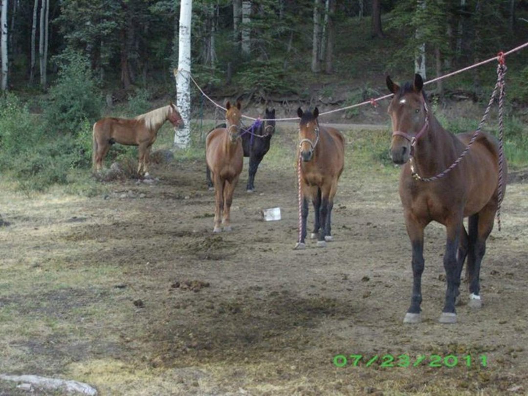 Barbara Hansen's album, F&F Camp Trip 2011