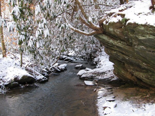 Tom Hellgeth's album, Snow time at Rogers Creek