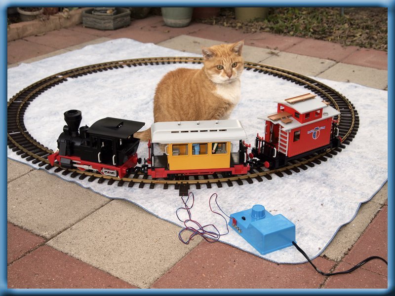 Marilyn Walker's album, My Pets