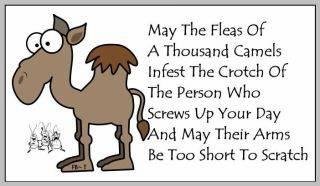 Donna Amato's album, Timeline Photos