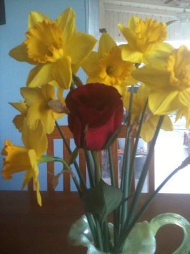 Lorna Jensen's album, iOS Photos