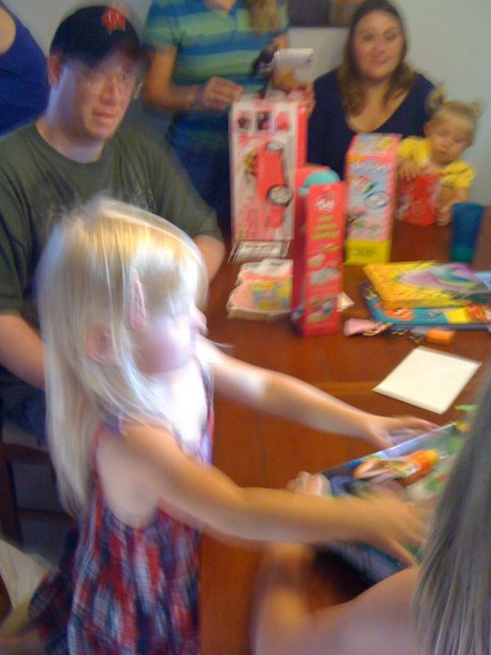 Steve Braune's album, Danielles 4th Birthday