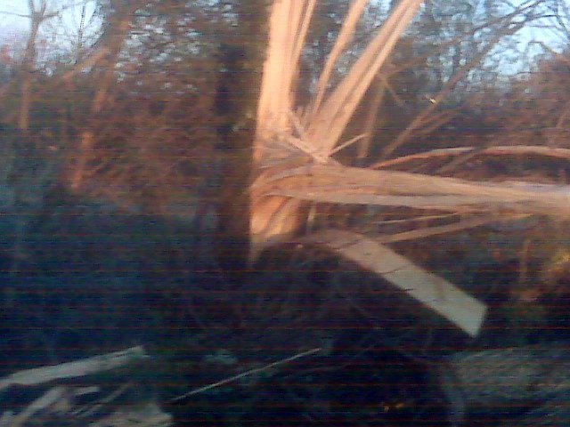 Nelda Goins' album, Tornado 3/24/2011