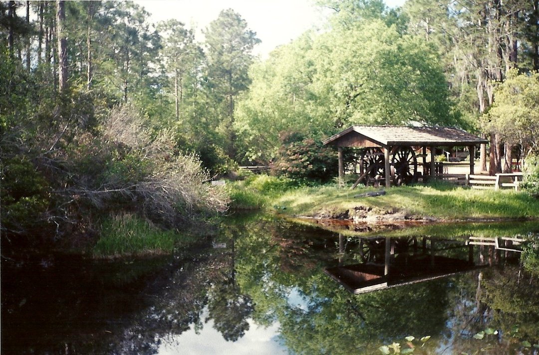 Karla Denney's album, Okefenokee Swamp 2000