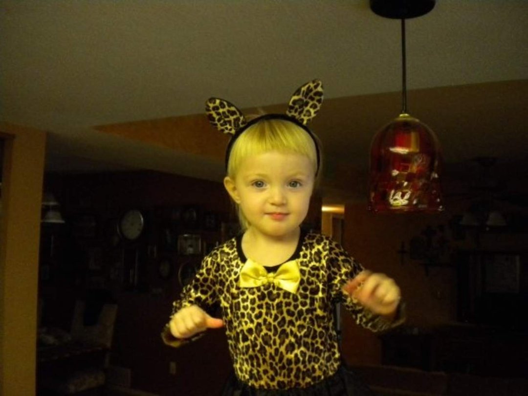 Kat Domet's album, Greg and Delia Halloween