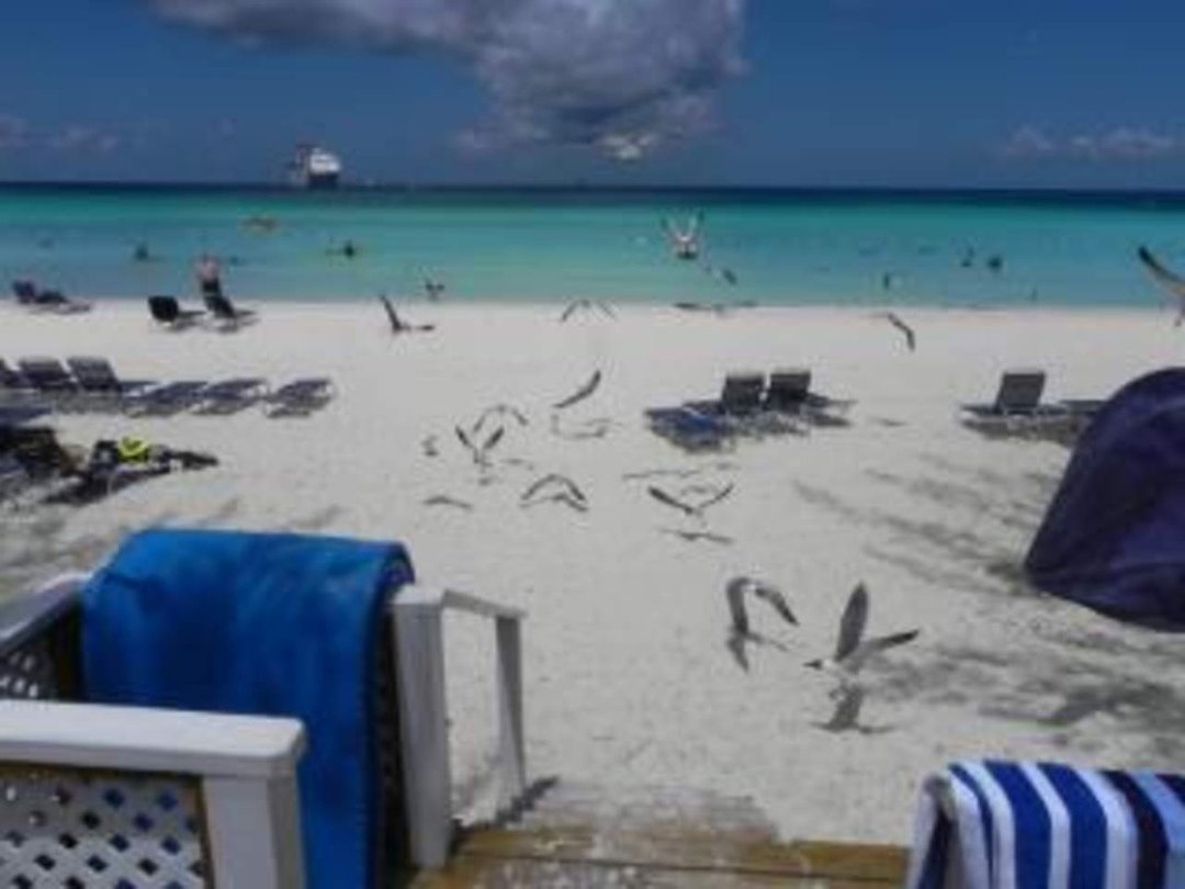 Lori Herring's album, Bahamas Cruise 2011