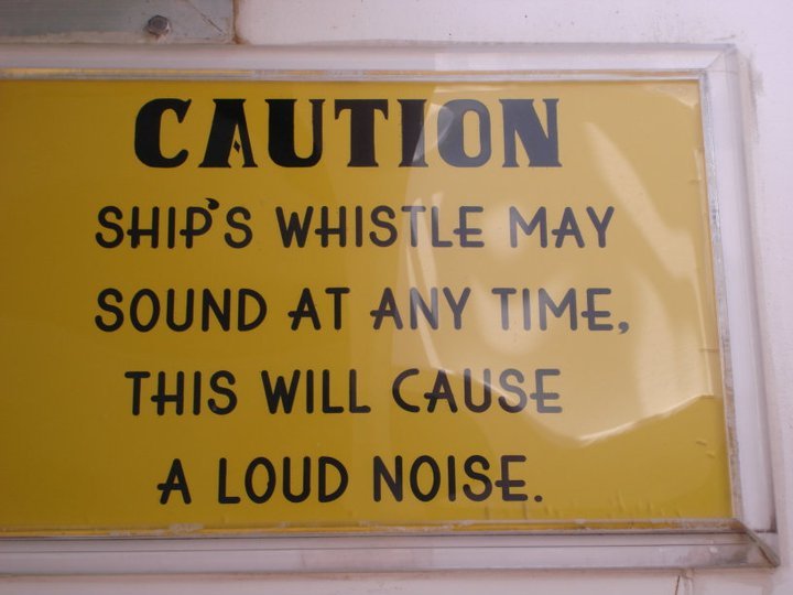 Johnny Stone's album, Carnival Cruise to Cozumel