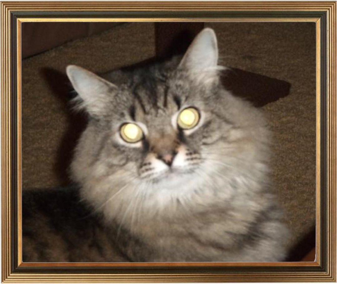 Doe Newton's album, Profile Pictures