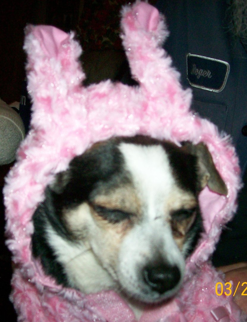 Donna Smith/Musselman's album, Profile Pictures