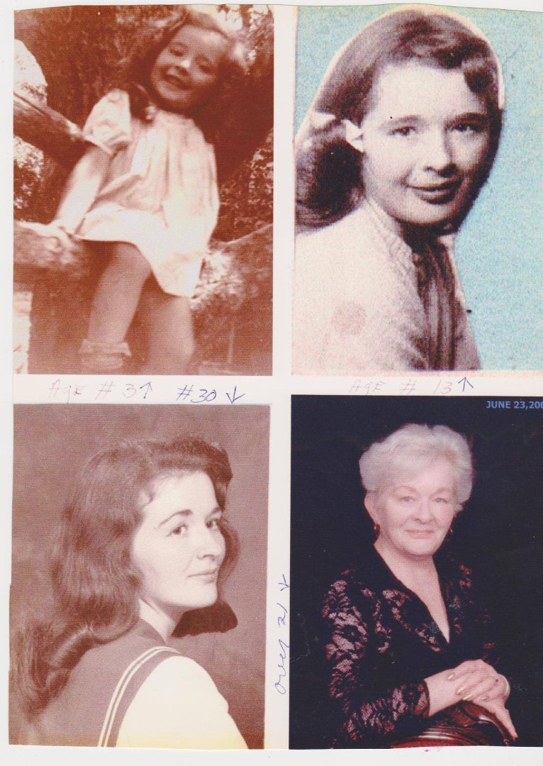 Martha Halstead's album, Profile Pictures