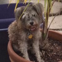 Rita Rudolf's album, Profile Pictures