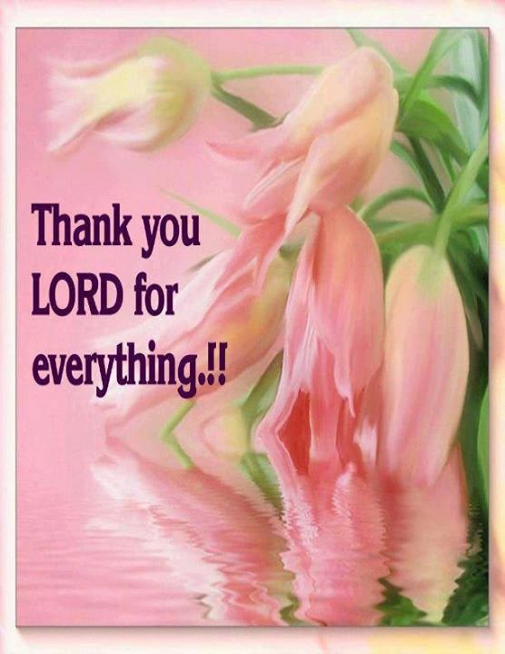 Myrtle Brooks' album, Timeline Photos